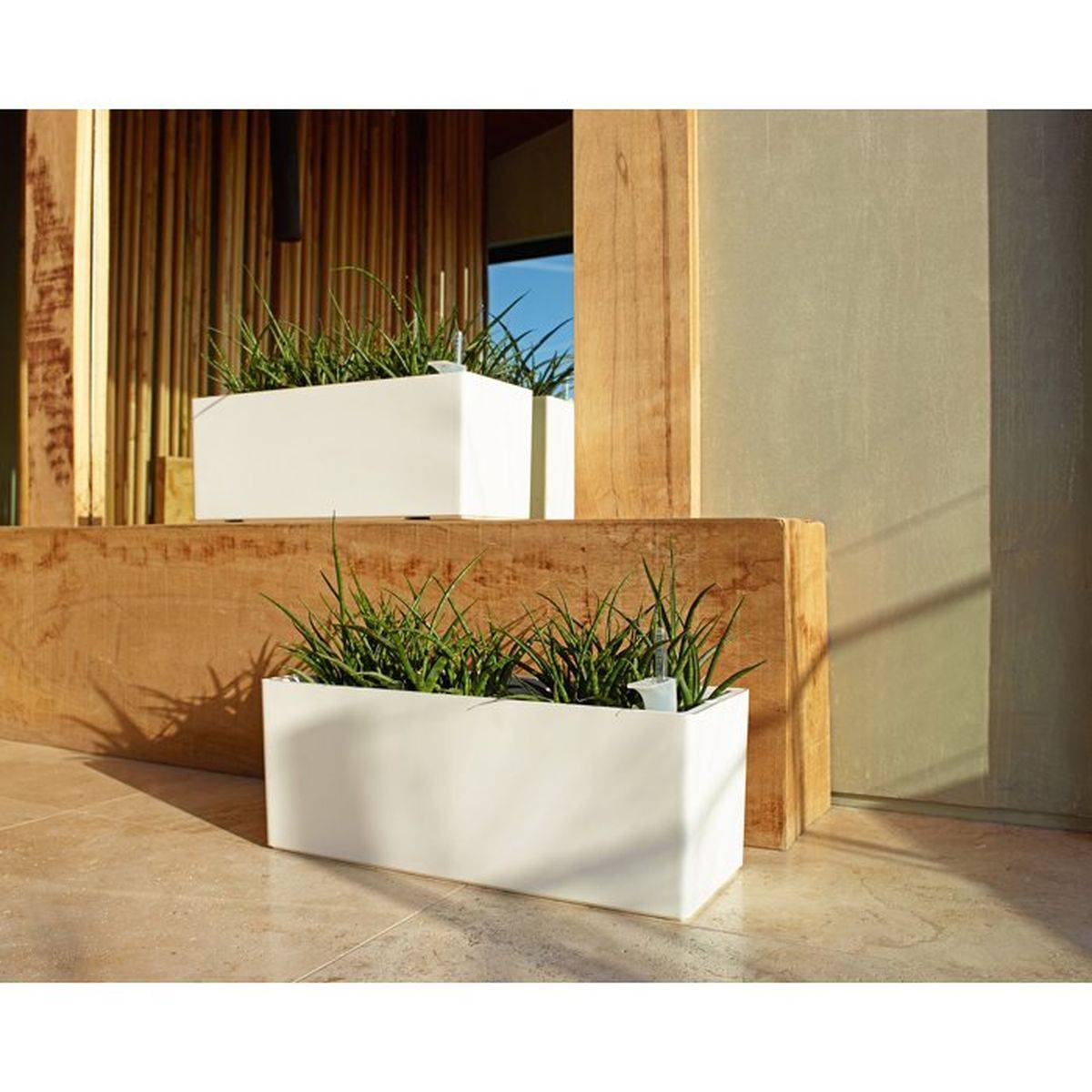 Artevasi - Jardinière rectangulaire 51 cm anthracite mat avec réserve d’eau 17 L - ARTEVASI - Image 3