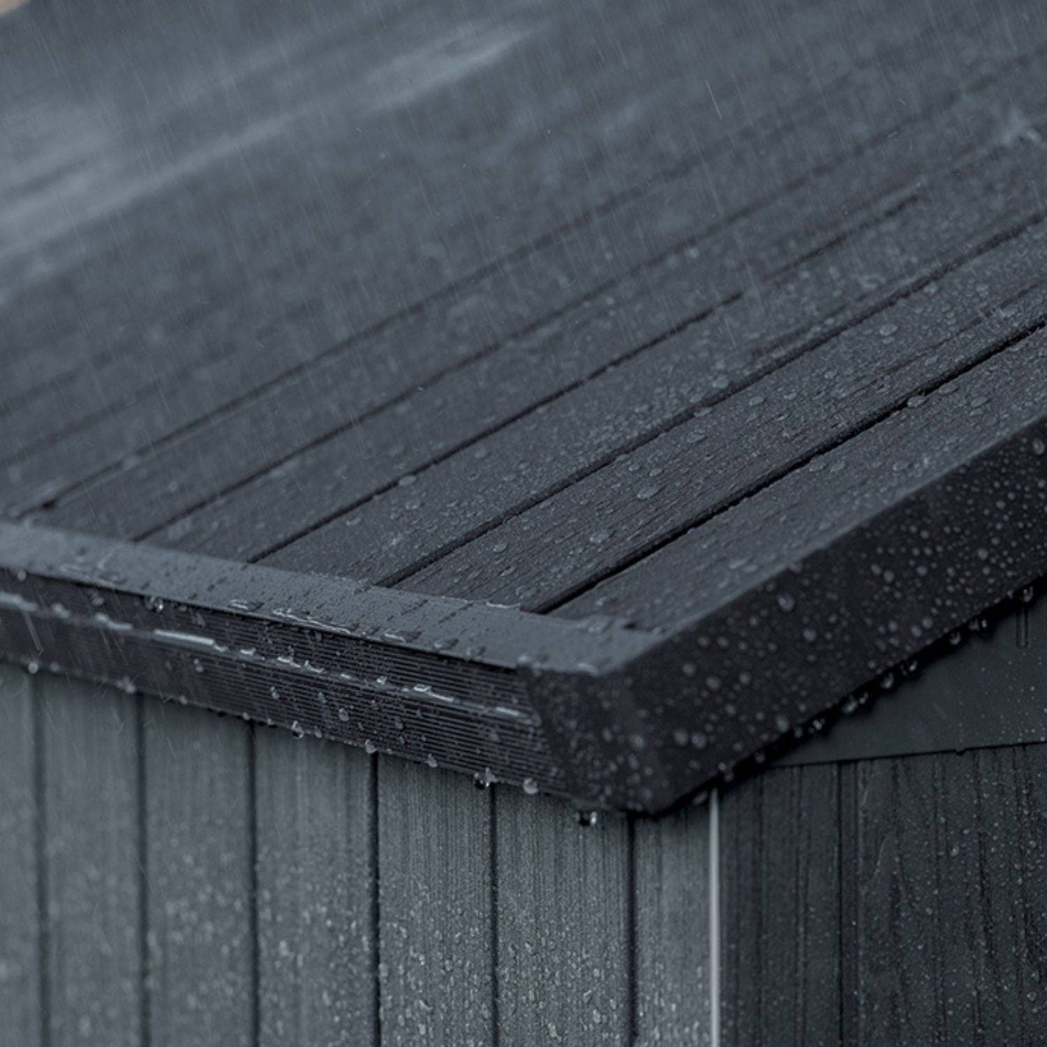Keter - Abri de jardin DARWIN 6x4 Gris - Image 6