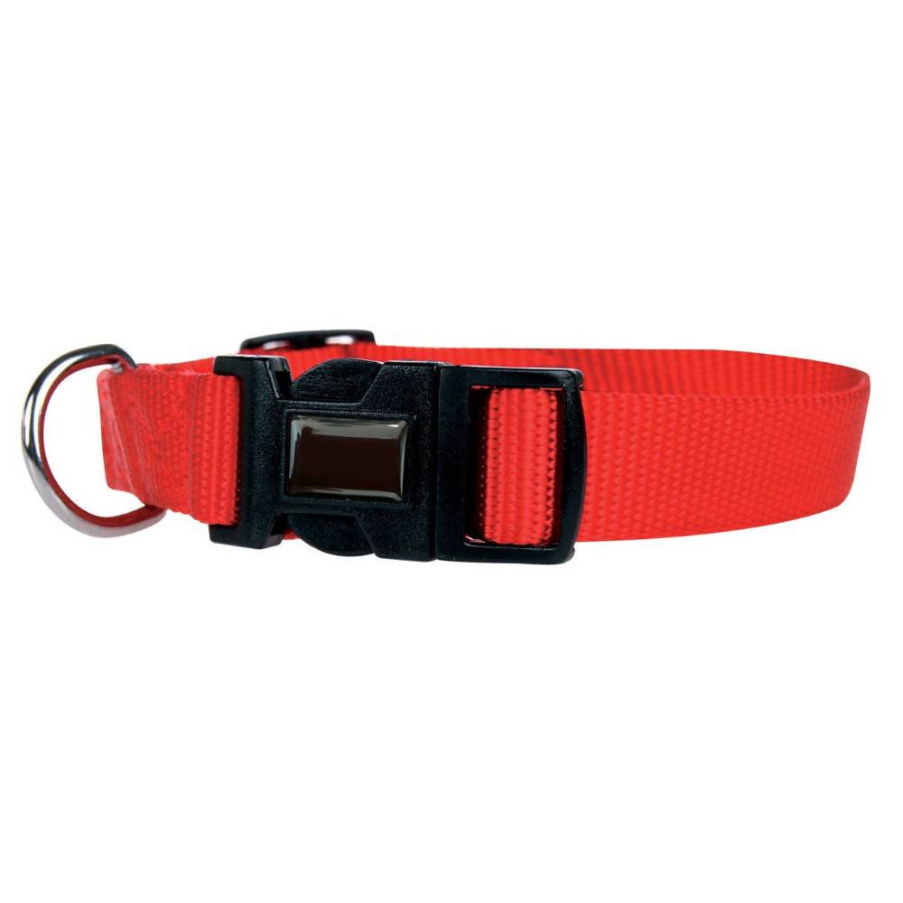 animallparadise - Collier nylon 30-40 cm x 15 mm rouge pour chien - Imagen 2