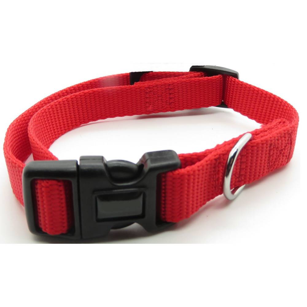 animallparadise - Collier nylon 30-40 cm x 15 mm rouge pour chien - Imagen 1