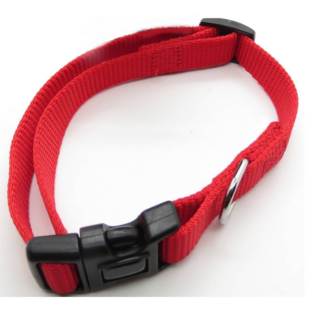 animallparadise - Collier nylon 30-40 cm x 15 mm rouge pour chien - Imagen 3