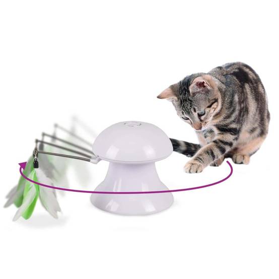 jeux 2 en 1 avec plume et pointeur lumineux pour chat. - Image 1