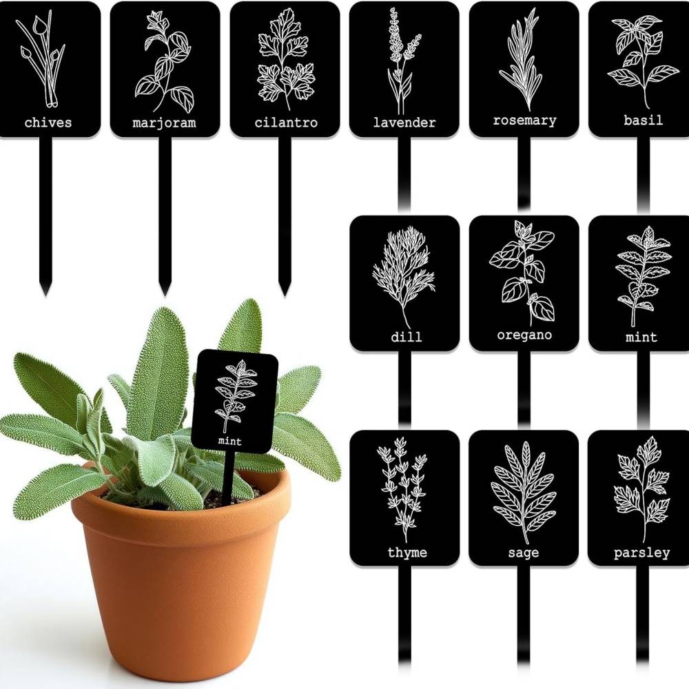 DtopbuyAge - 24 étiquettes plantes acrylique - 12 modèles - Noms d'herbes inclus - Résistantes à l'eau - DtopbuyAge