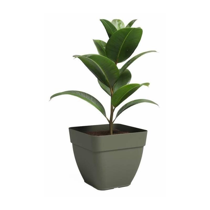 Artevasi - Pot - Artevasi - Capri Campana - Carrée� - Vert Sec - L36,5 X P36,5 X H33,5 Cm - Imagen 2