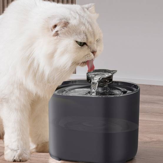 IntiMeg - Fontaine pour animaux de compagnie IntiMeg - Image 4