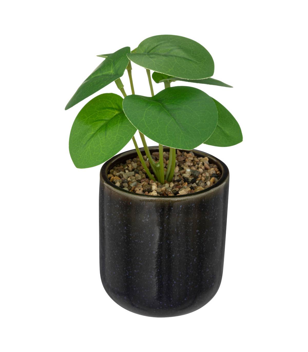 Plante verte artificielle Pot en céramique Noire émaillée H 16 cm - Imagen 1