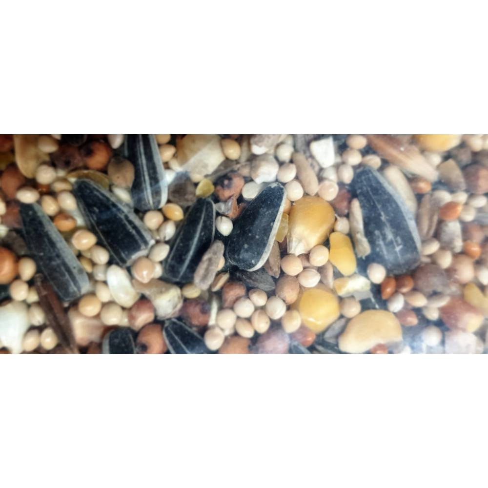 Zolux - Graines nourriture mélange premium riche en millet 2.5 kg pour oiseaux - Image 2