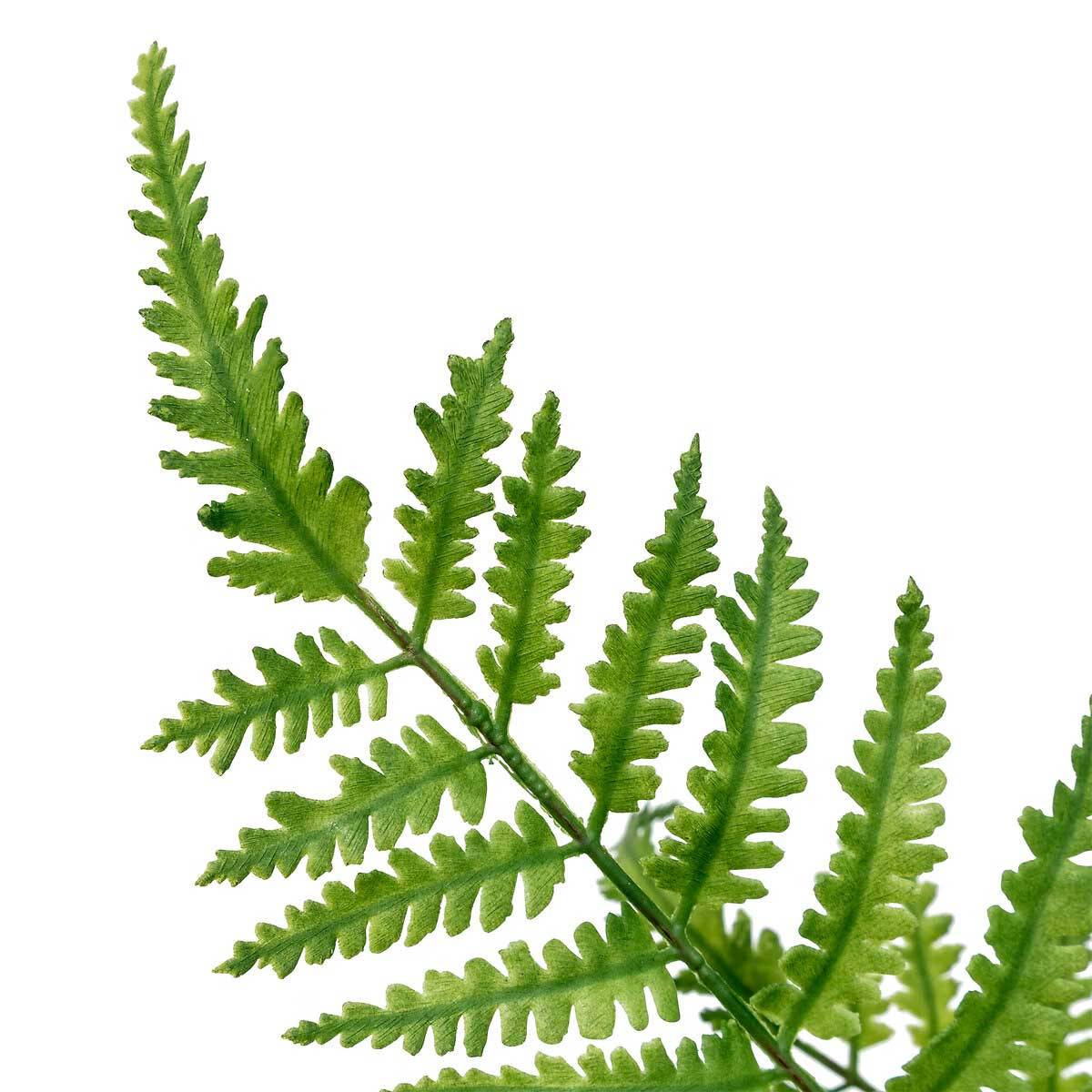 Tige Artificielle Fougère "James" 90cm Vert - Image 2