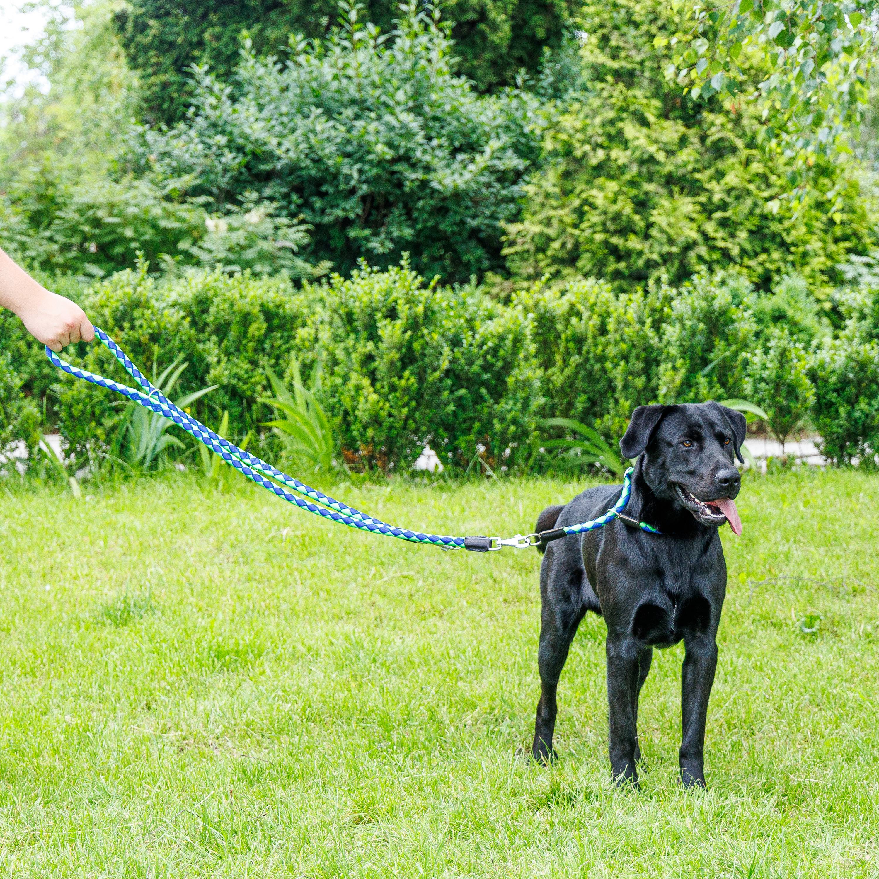 Ferplast - Laisse de Dressage pour Chiens en Nylon TWIST MATIC GA18/200, Mousqueton Magnétique Automatique - Imagen 3