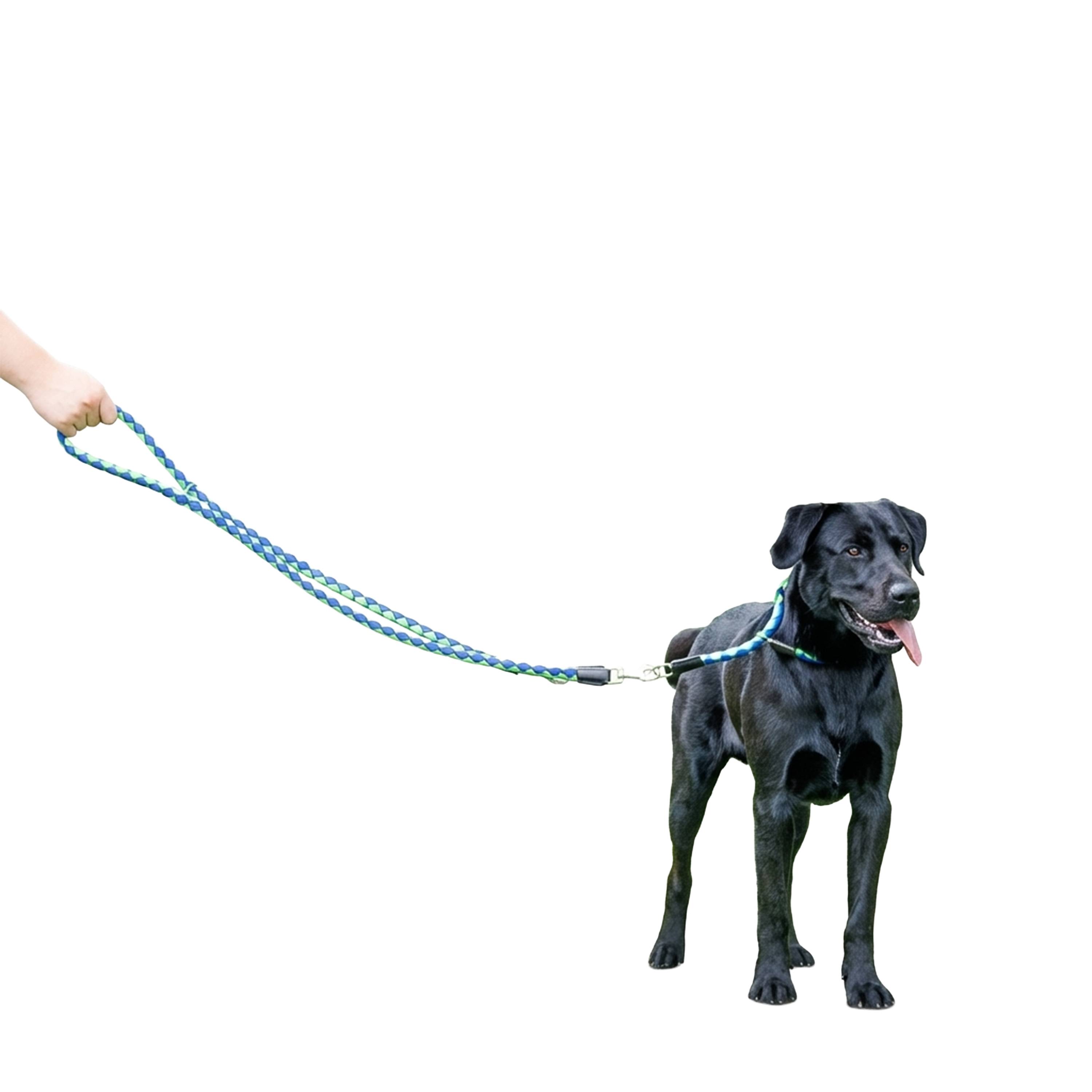 Ferplast - Laisse de Dressage pour Chiens en Nylon TWIST MATIC GA18/200, Mousqueton Magnétique Automatique - Imagen 4