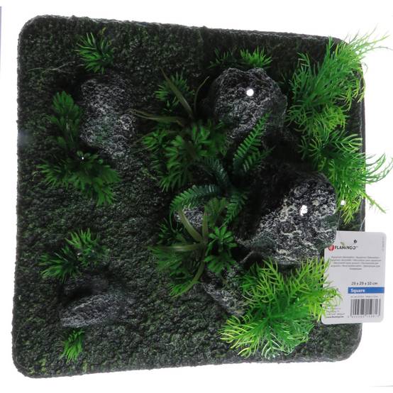 Décoration condroz quadrilatère roche + plante. 29 x 29 x 10 cm. aquarium. - Image 2