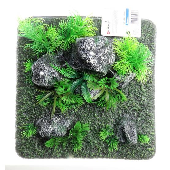Décoration condroz quadrilatère roche + plante. 29 x 29 x 10 cm. aquarium. - Image 4
