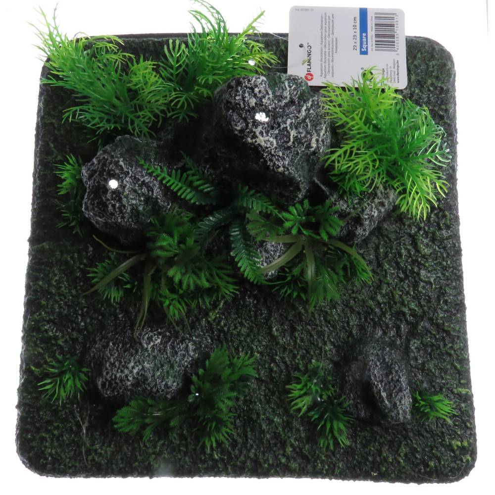 Décoration condroz  quadrilatère roche + plante. 29 x 29 x 10 cm. aquarium. - Imagen 3