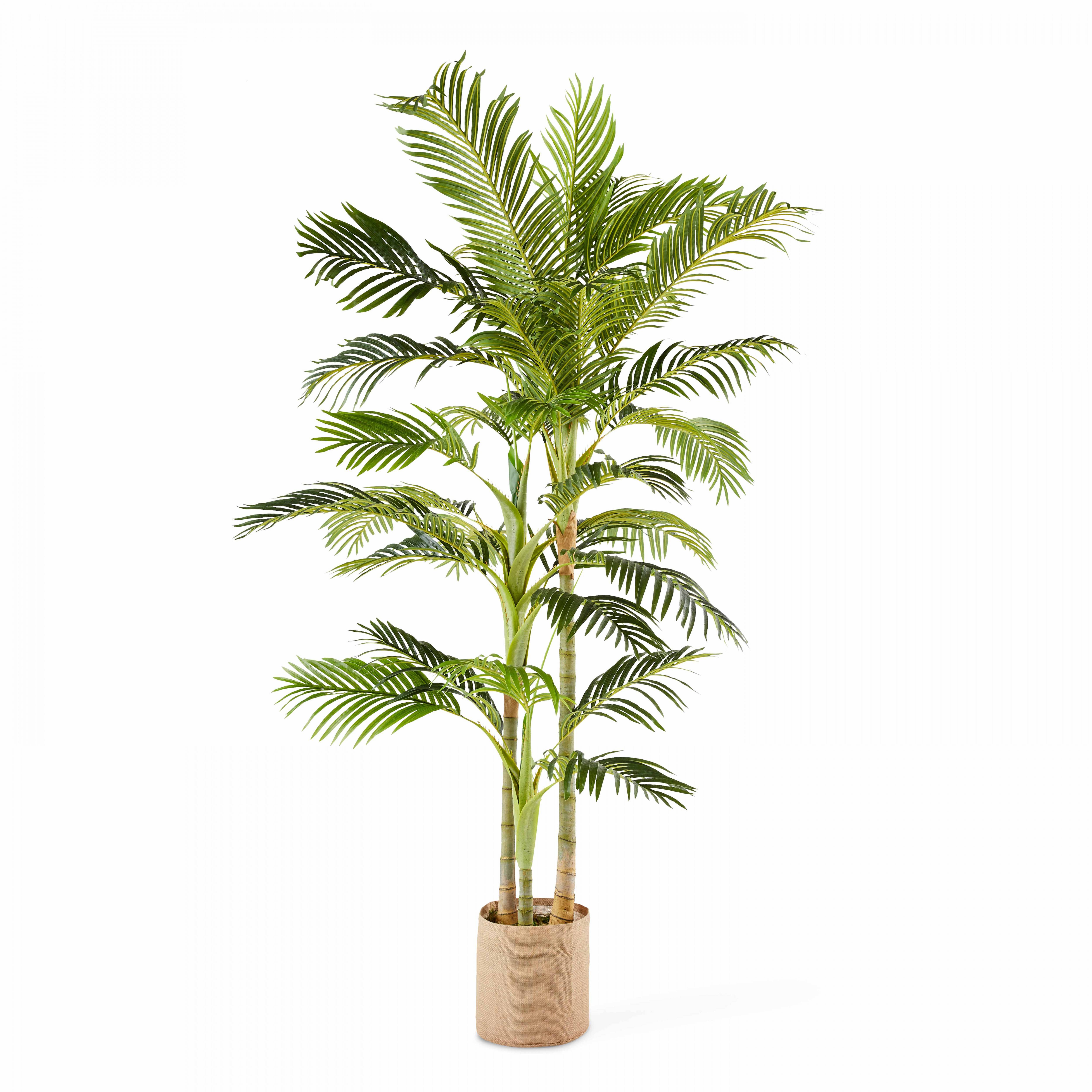 Oviala - Plante artificielle en pot Palmier 210 cm
- Oviala - Imagen 1