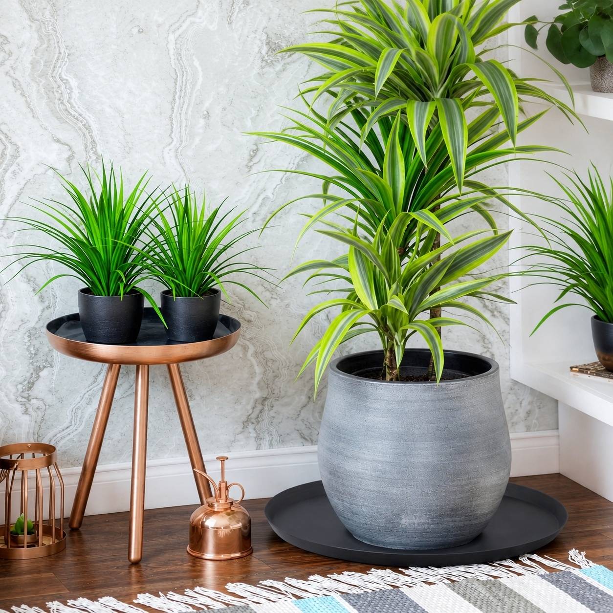 Soucpes de Plantes en Silicone Rondes Grand Format pour Pots Intérieur Extérieur - Image 4