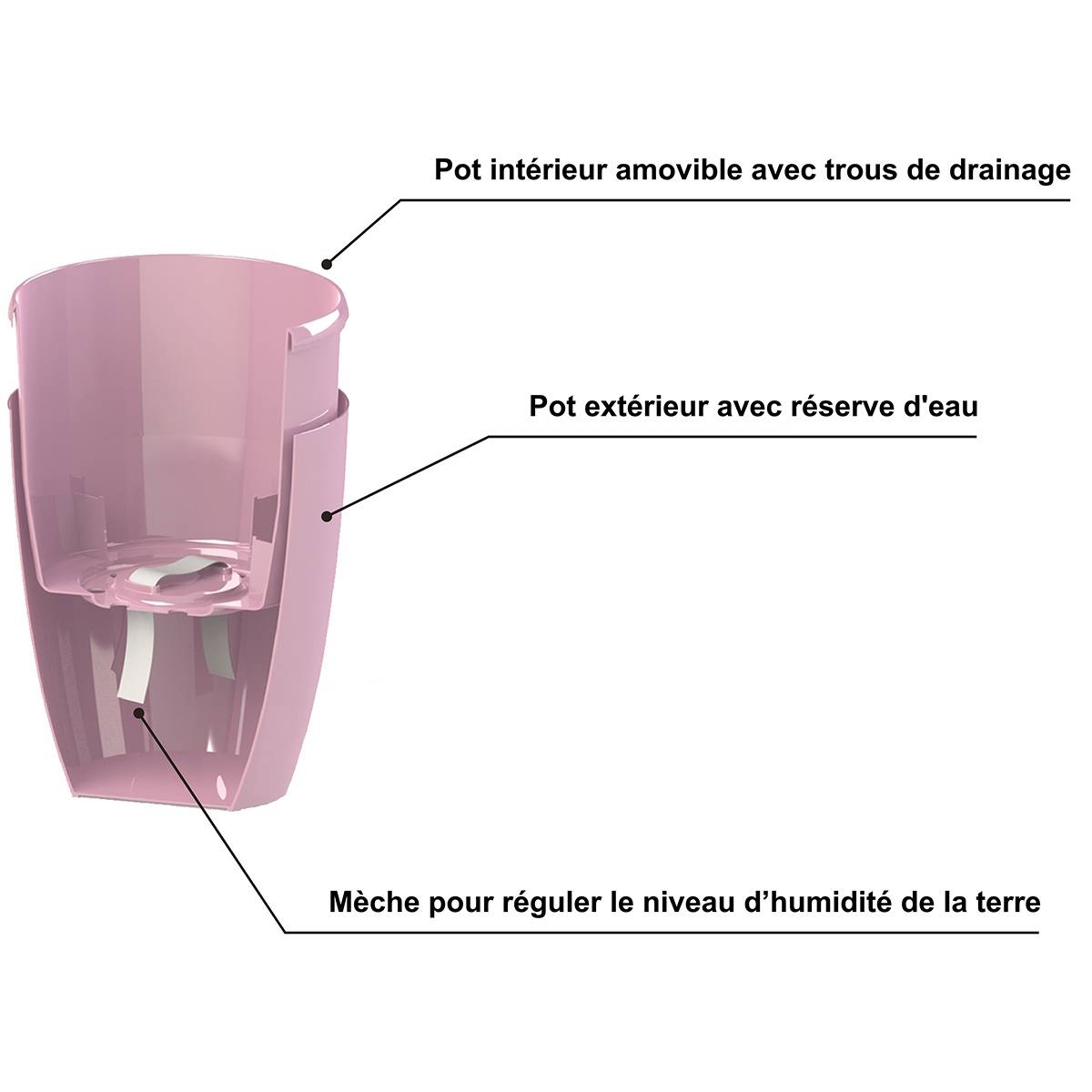 Gt Garden - Lot de 3 pots pour orchidées avec réserve d'eau - Arte-dea vert clair transparent 2 litres - GT GARDEN - Imagen 3