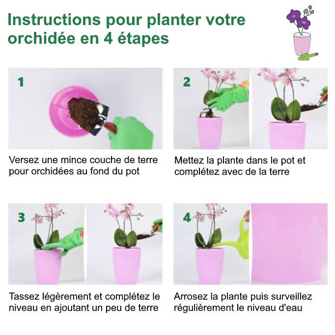 Gt Garden - Lot de 3 pots pour orchidées avec réserve d'eau - Arte-dea vert clair transparent 2 litres - GT GARDEN - Imagen 4