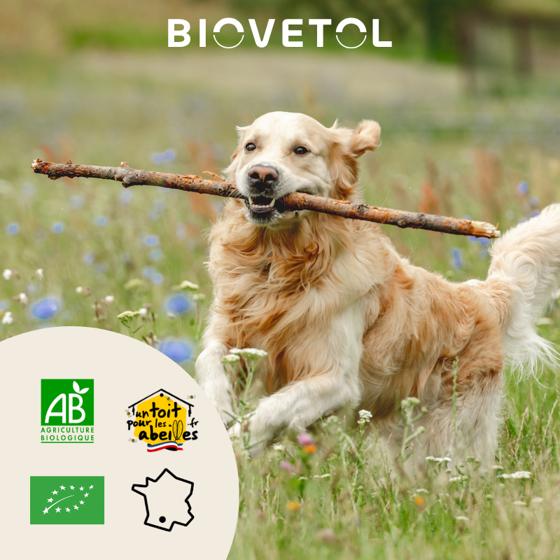 Biovetol - Comprimés Mobil'Activ Chien - 30 comprimés - Image 4