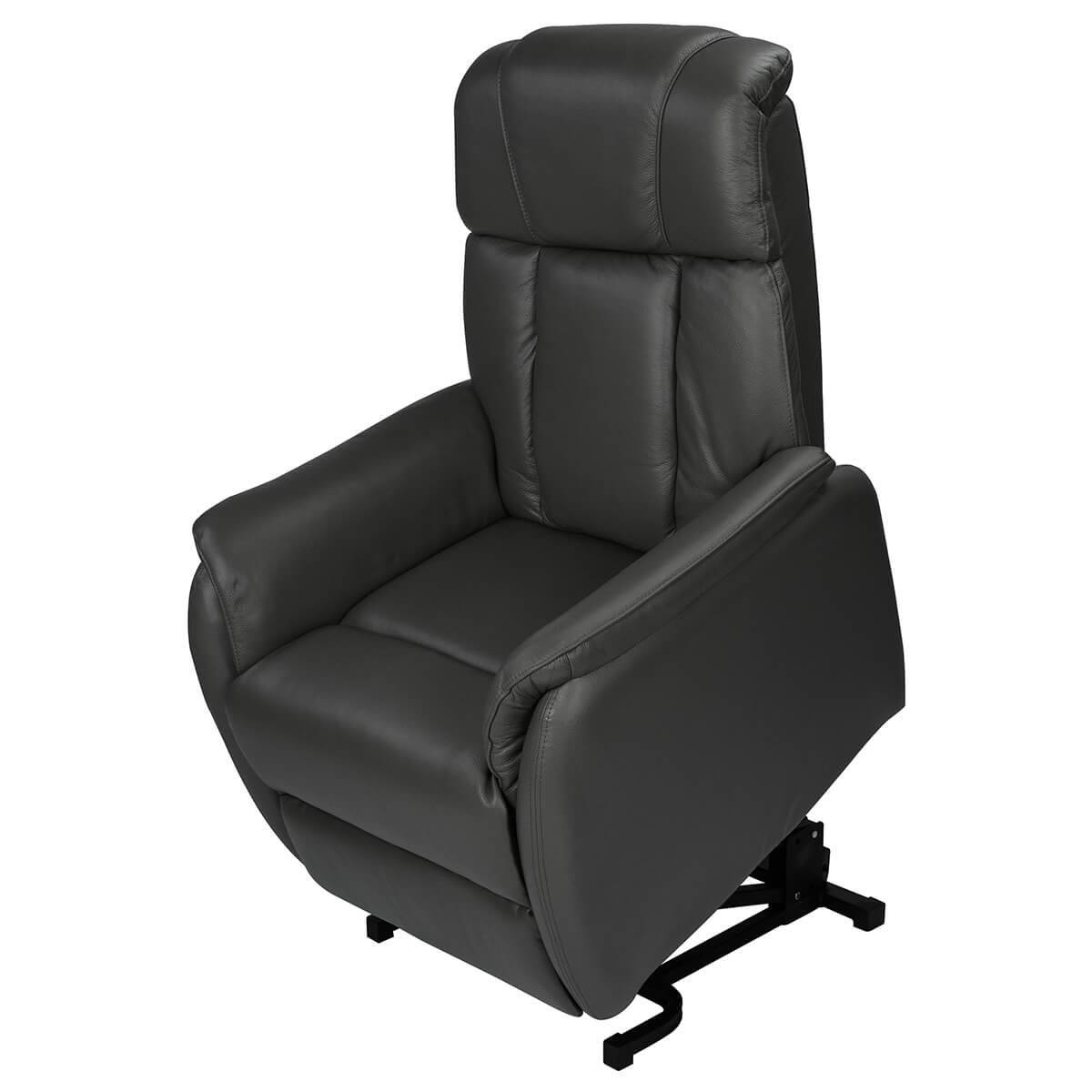 ALTOBUY - Fauteuil Relax et Releveur Electrique Cuir Noir - TAMISE