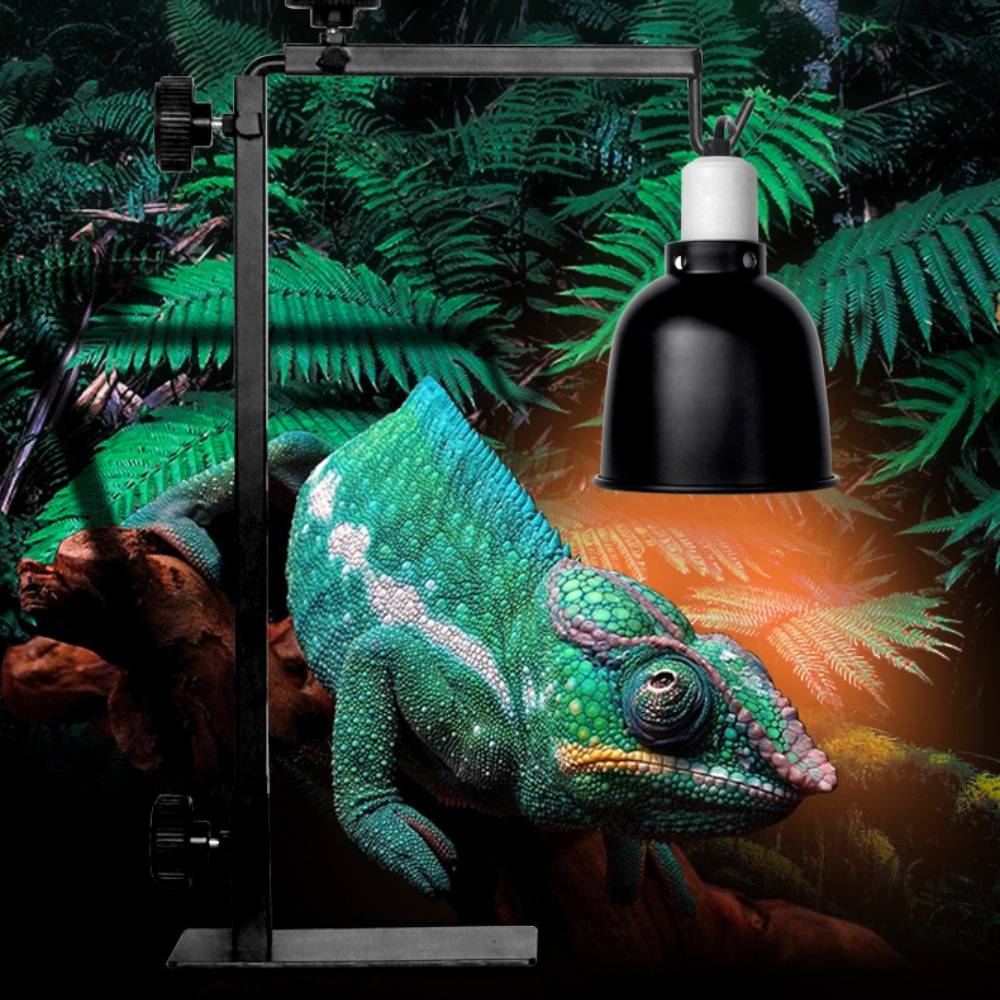 Support de lampe pour reptiles - Raccordement extensible - MCBOSON - Image 5