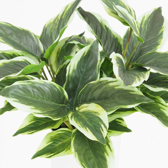 Ligne Deco - Dieffenbachia artificiel 40cm - Image 3
