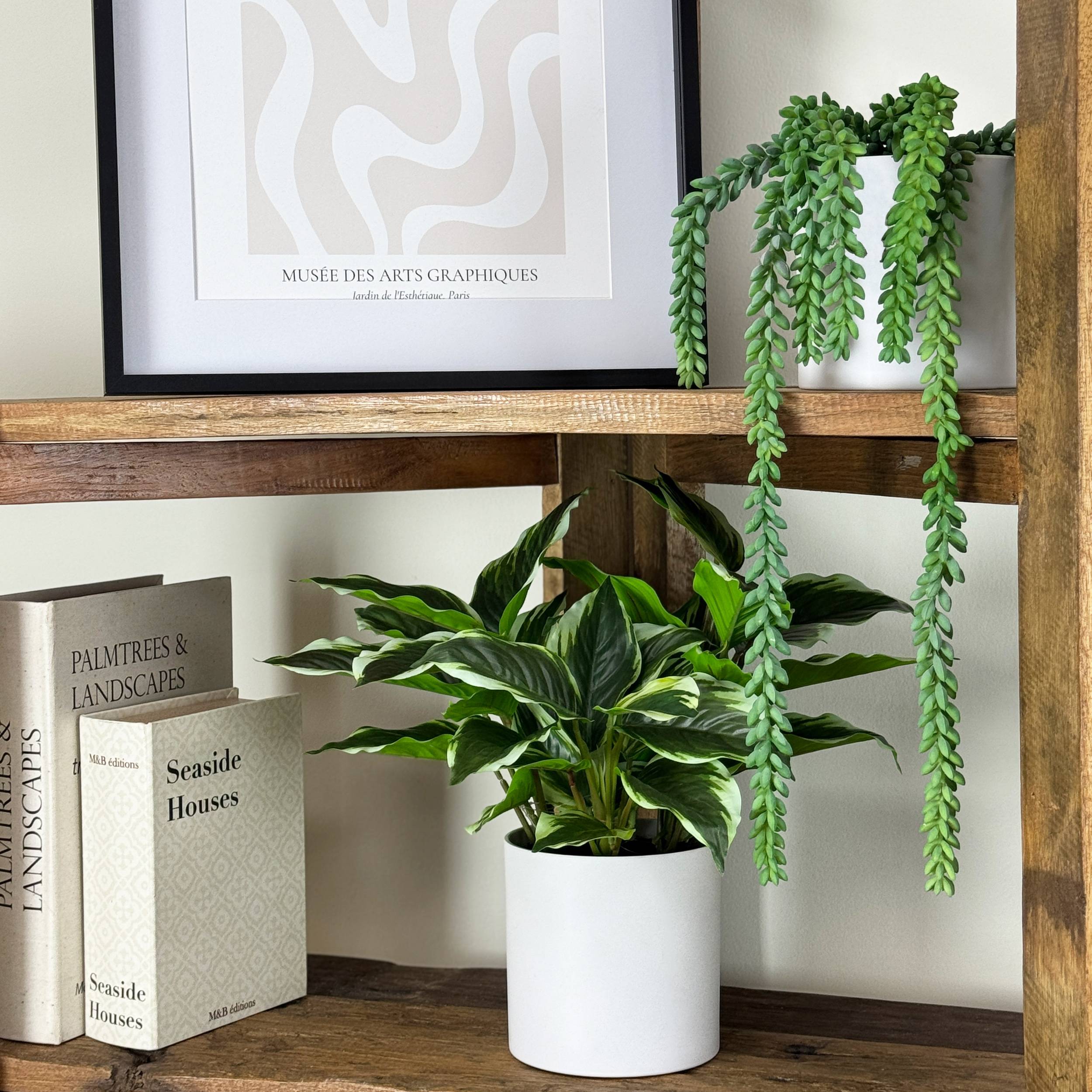 Ligne Deco - Dieffenbachia artificiel 40cm - Image 4