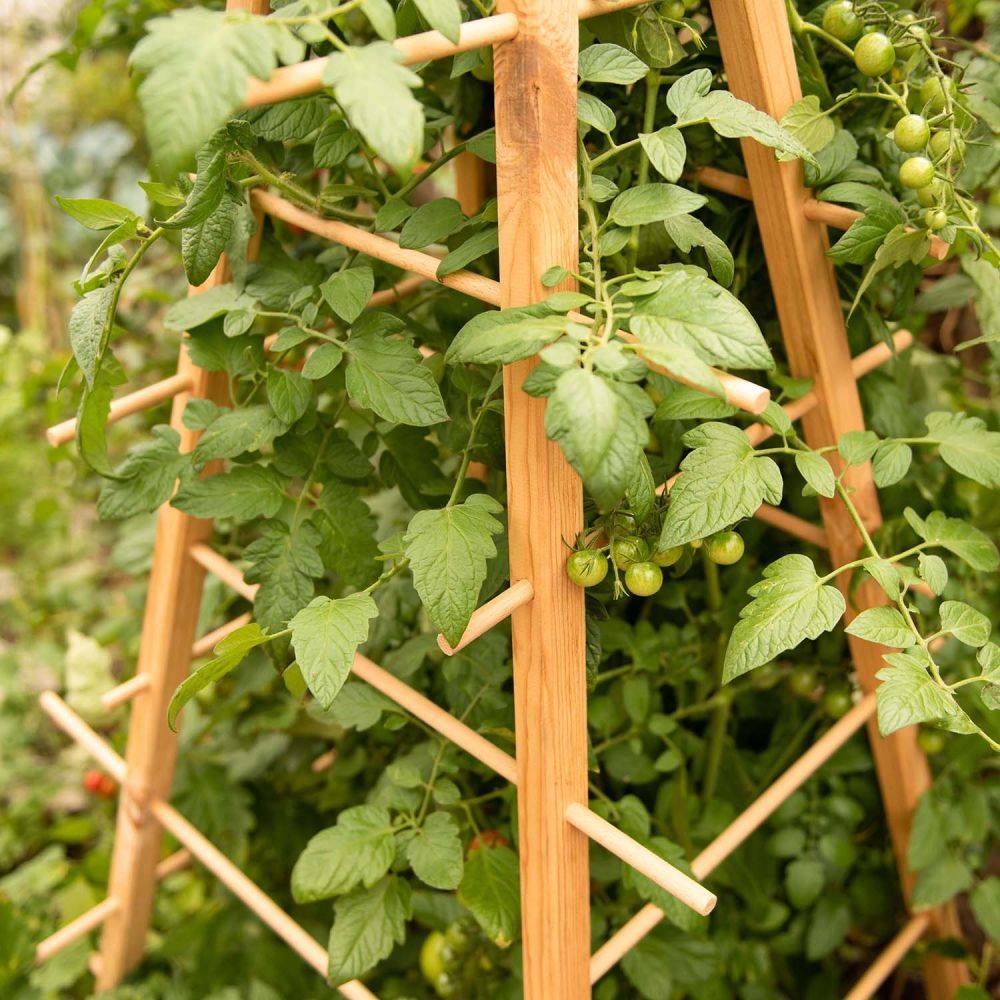 Esschert Design - Support en bois de pin pour plantes 4 piquets Pyramide Esschert's Garden - Imagen 2