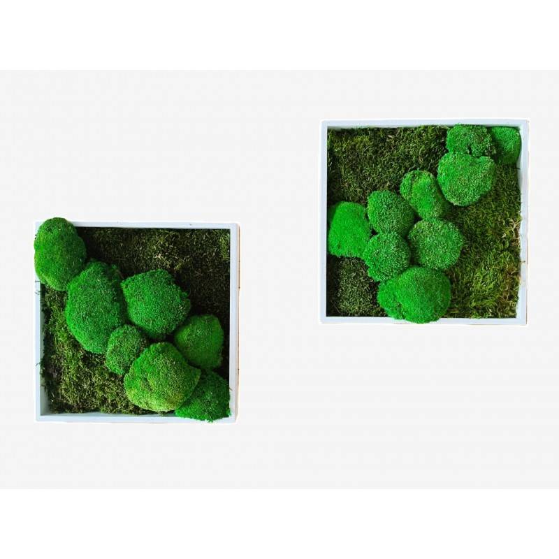 Tableau végétal stabilisé Daburu - tableau végétal - décoration d'intérieur - 35*35 cm - Image 1