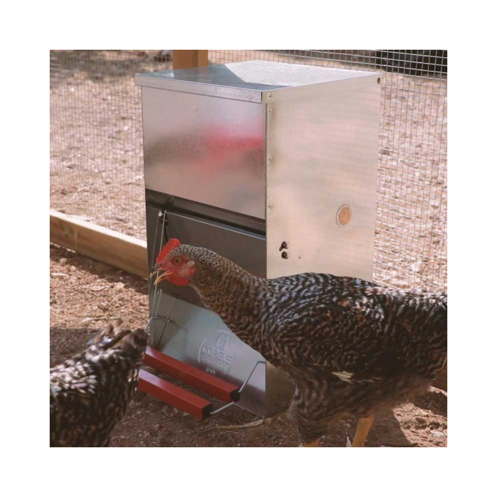 Mangeoire anti-nuisibles 20 kg pour 10 poules - Image 2