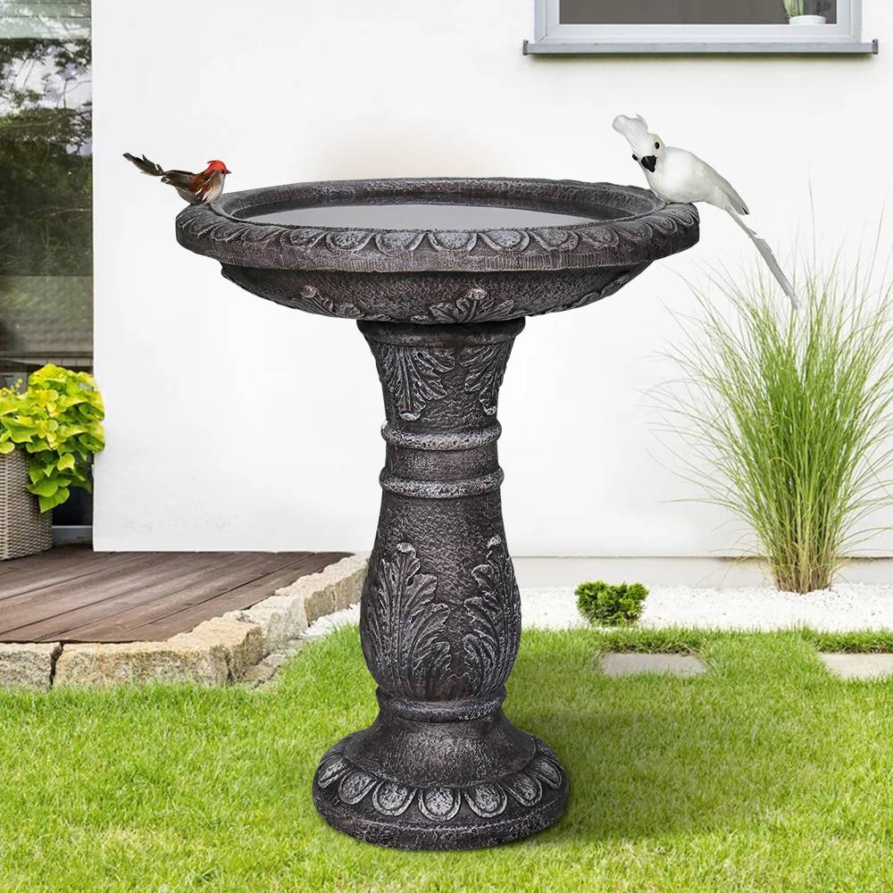 Bain Oiseaux Jardiland