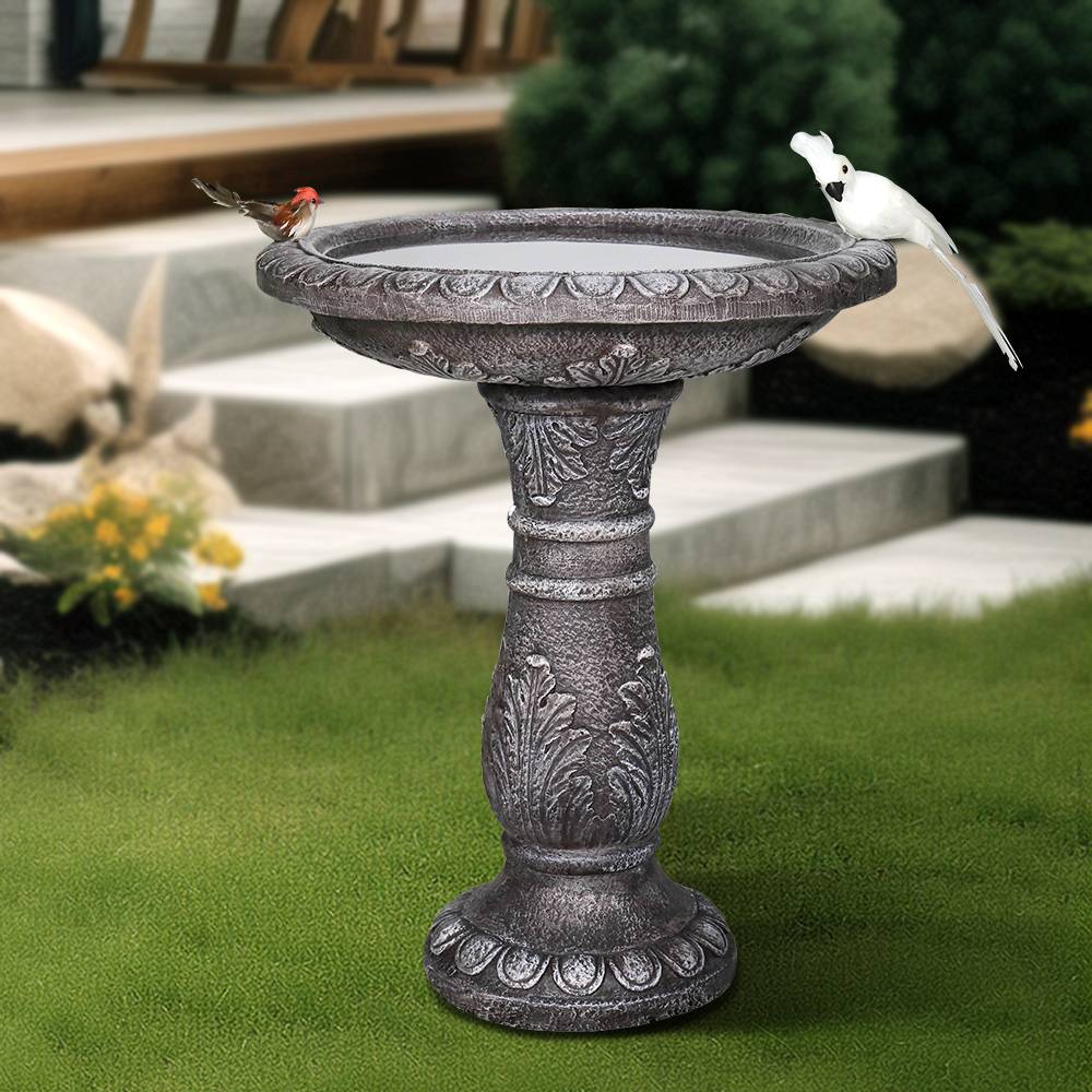 Bain Oiseaux Jardiland