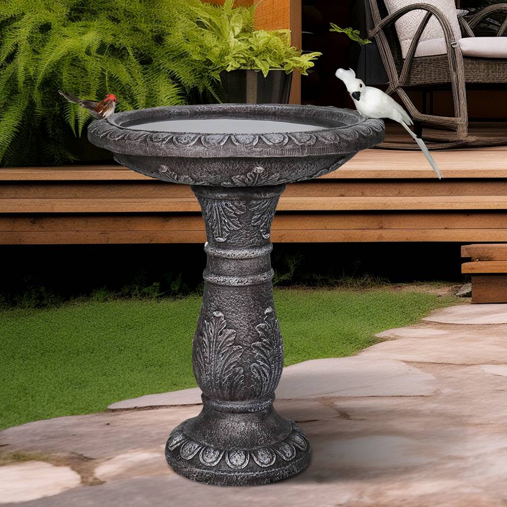 Bain Oiseaux Jardiland