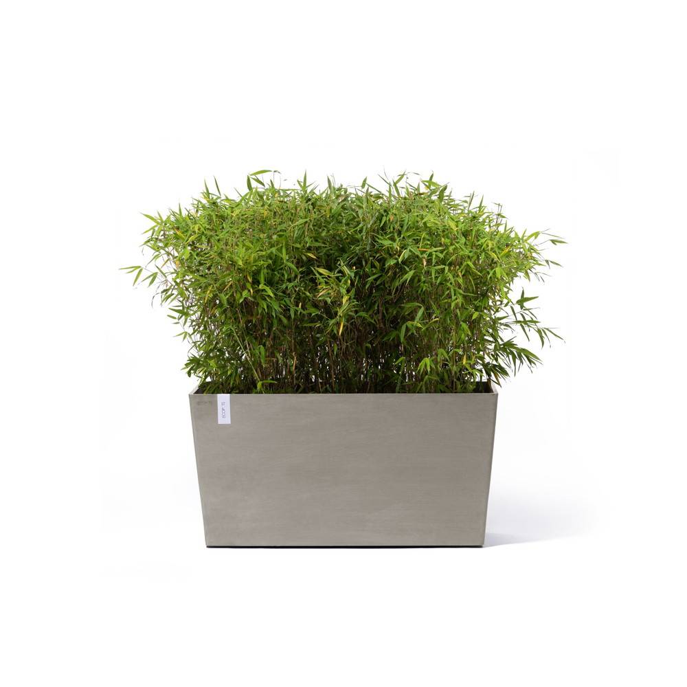 Ecopots - Jardinière sur roues Paris 100 Taupe - 100 x 40 x H. 50 cm - 137 L ECOPOTS - Imagen 1