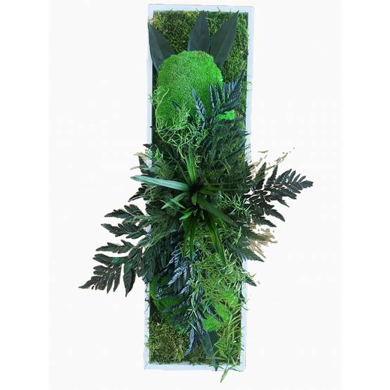 Tableau végétal stabilisé Janguru- tableau végétal - décoration d'intérieur - 70*20 cm - Image 1