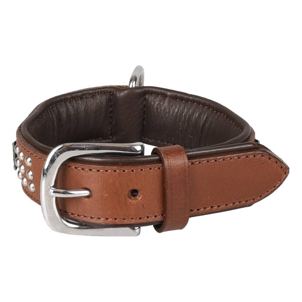 Collier Cuir SEDONA brun taille S 26-31 cm pour chien. - Image 2
