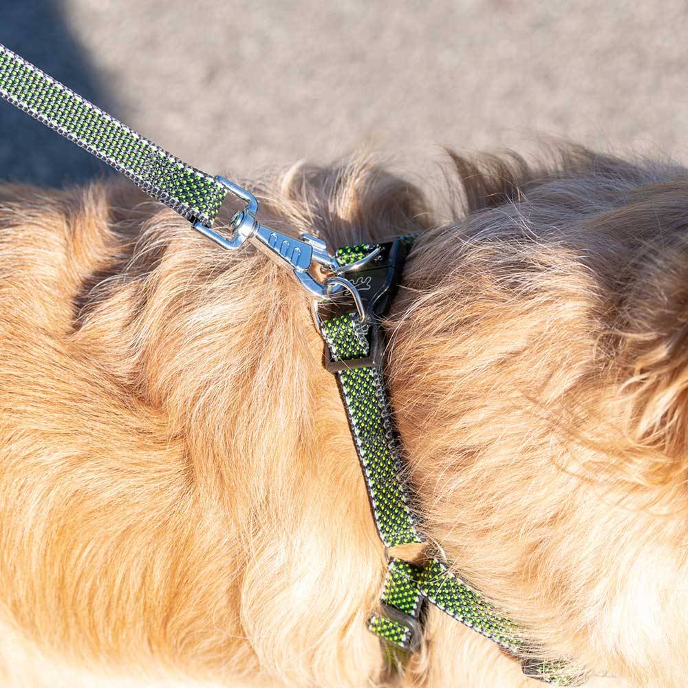 Ferplast - Harnais pour Chiens de Taille Moyenne-Grande Réfléchissant DAYTONA DELUXE LARGE, Rembourré, Noir-Vert - Imagen 4