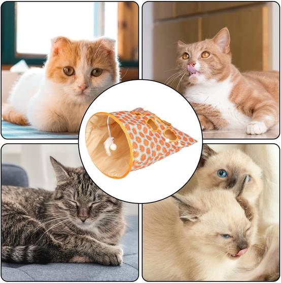 Tunnel de jeu pliable pour chat DtopbuyAge - Image 2