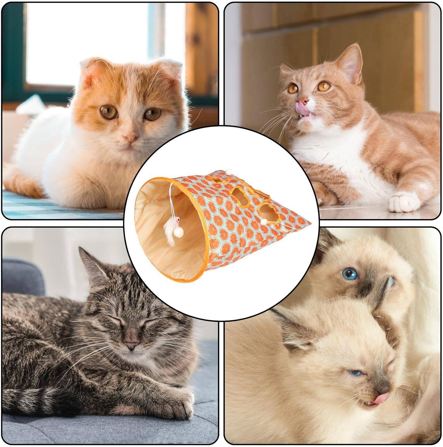 Tunnel de jeu pliable pour chat DtopbuyAge - Image 2