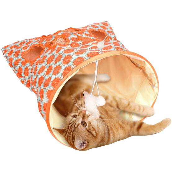Tunnel de jeu pliable pour chat DtopbuyAge - Image 4