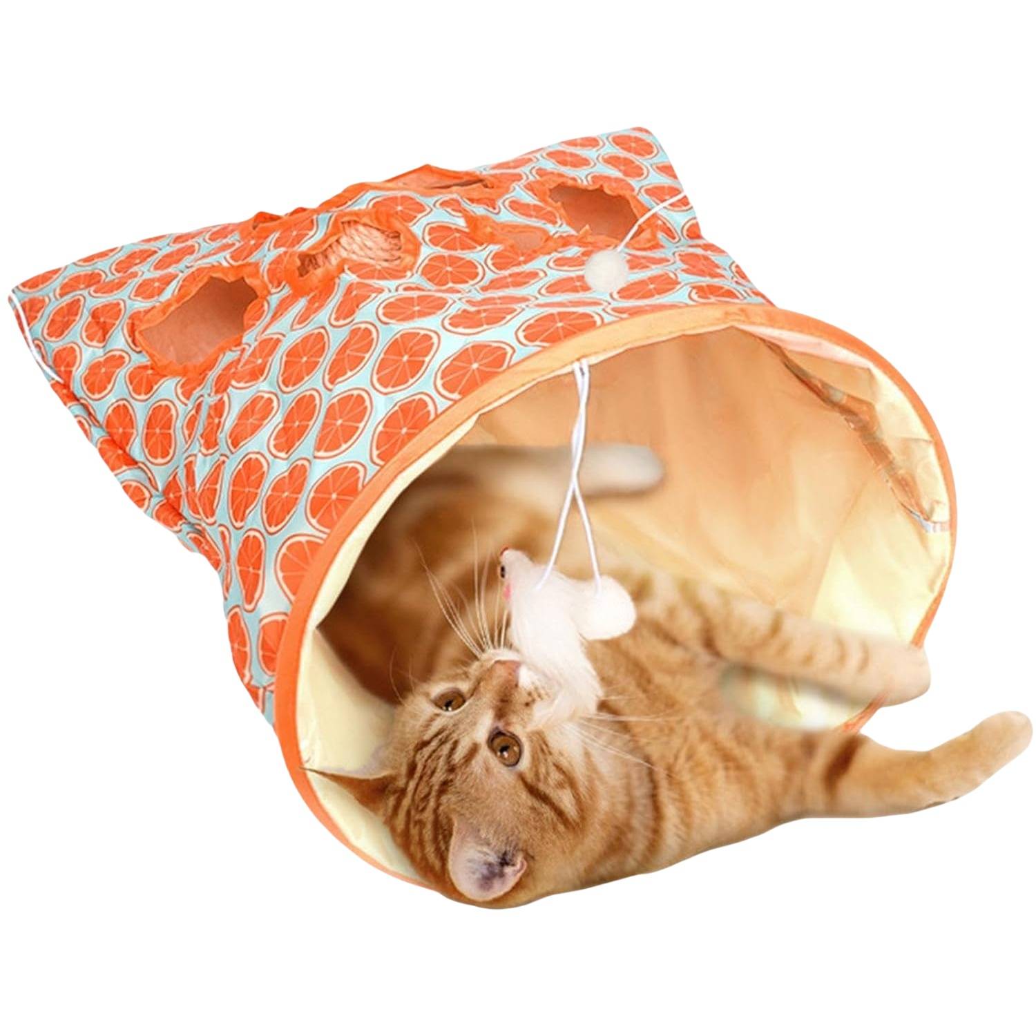 Tunnel de jeu pliable pour chat DtopbuyAge - Image 4