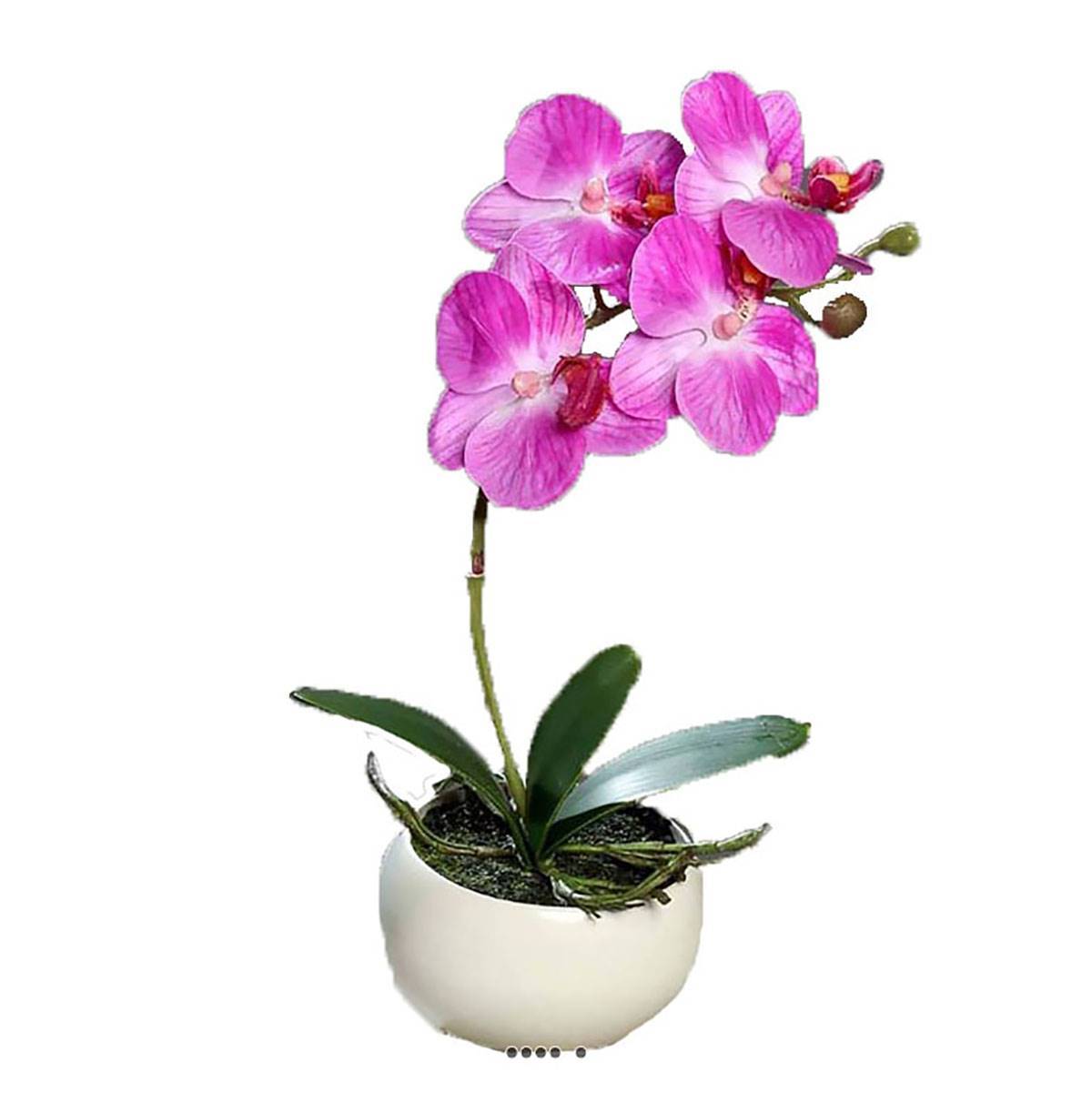 Artificielles - Orchidée phalaenopsis artificielle en coupe céramique H 25 cm Lavande - dimhaut: H 25 cm - couleur: Lavande - Imagen 2