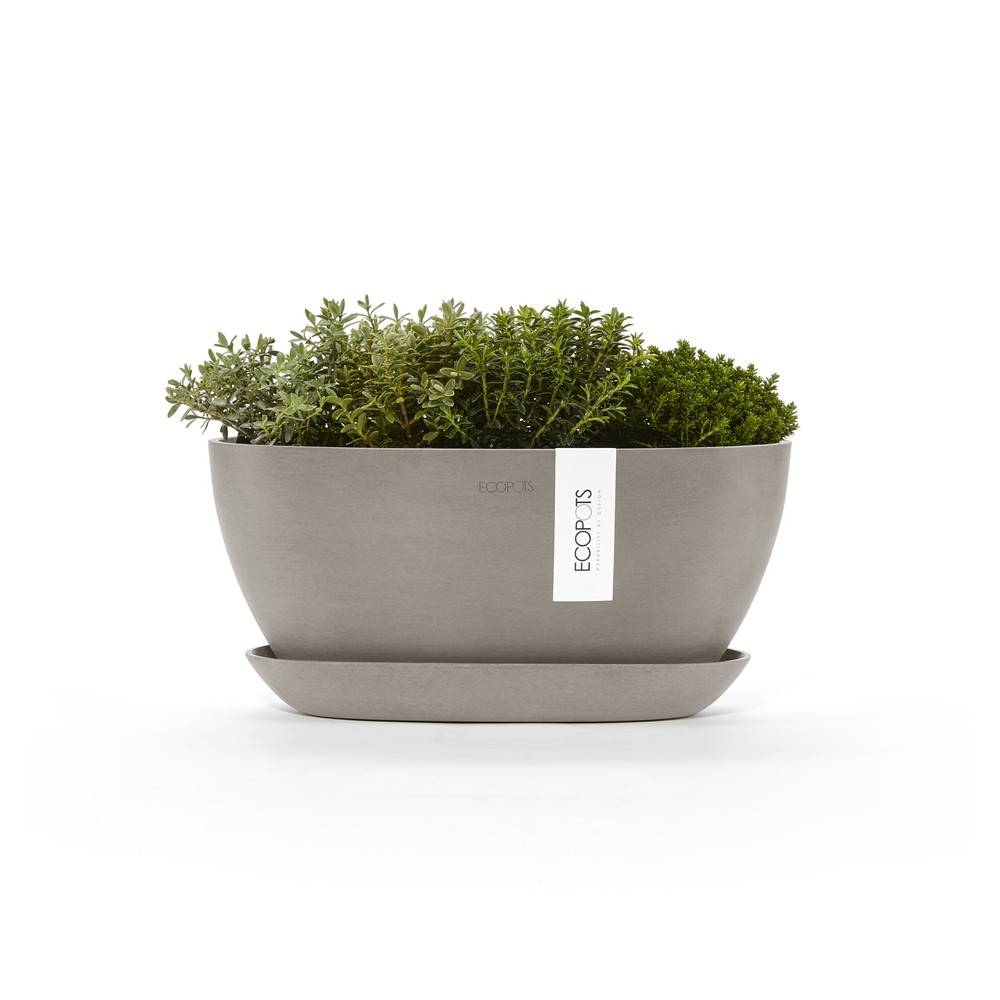 Ecopots - Pot Ovale Sofia 30 + Soucoupe - 30 x 13 x H. 13,9 cm - 2,7 L ECOPOTS - Imagen 2