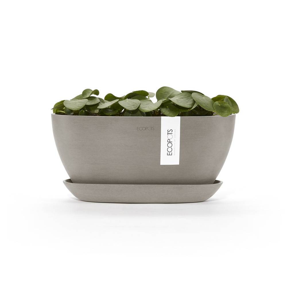 Ecopots - Pot Ovale Sofia 30 + Soucoupe - 30 x 13 x H. 13,9 cm - 2,7 L ECOPOTS - Imagen 3