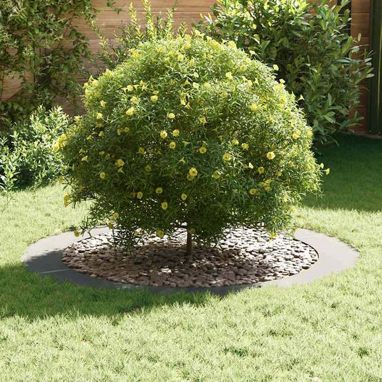 Entourage d'Arbre Plat Acier Galvanisé pour Jardin Protection Parterre Ø120 cm Gris - ComfortXL Outdoor Living - Image 3