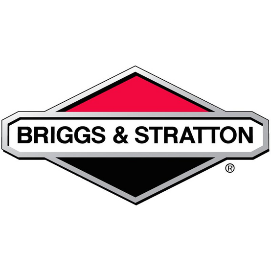 Briggs & Stratton - Filtre A Essence Briggs et Stratton - 84001895