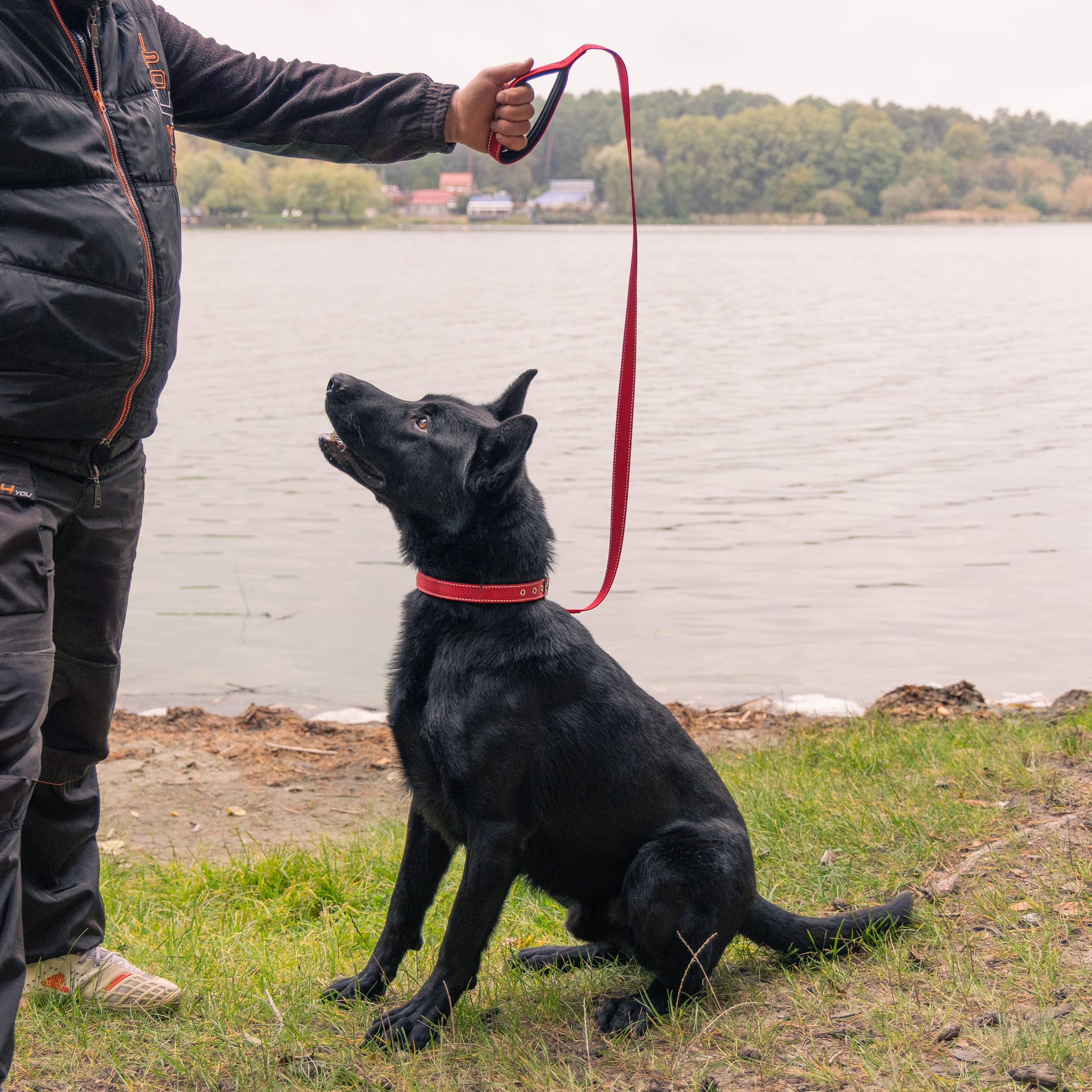 Ferplast - Laisse Réfléchissante pour Chiens DAYTONA DELUXE G25/120, Support Sachets Hygieniques, Poignée Rembourrée, Rouge-Noir - Imagen 3