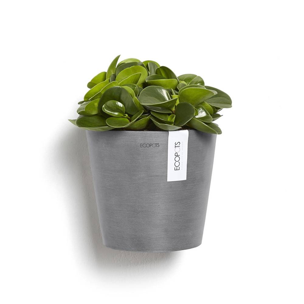Ecopots - Pot suspension mural Amsterdam Wall Gris - Ø 20 x H. 17,5 cm - 4 L ECOPOTS - Imagen 3