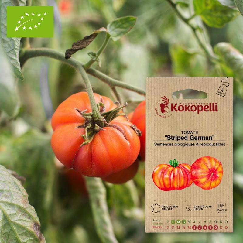 Tomate Striped German- Graines bio à semer - Imagen 1
