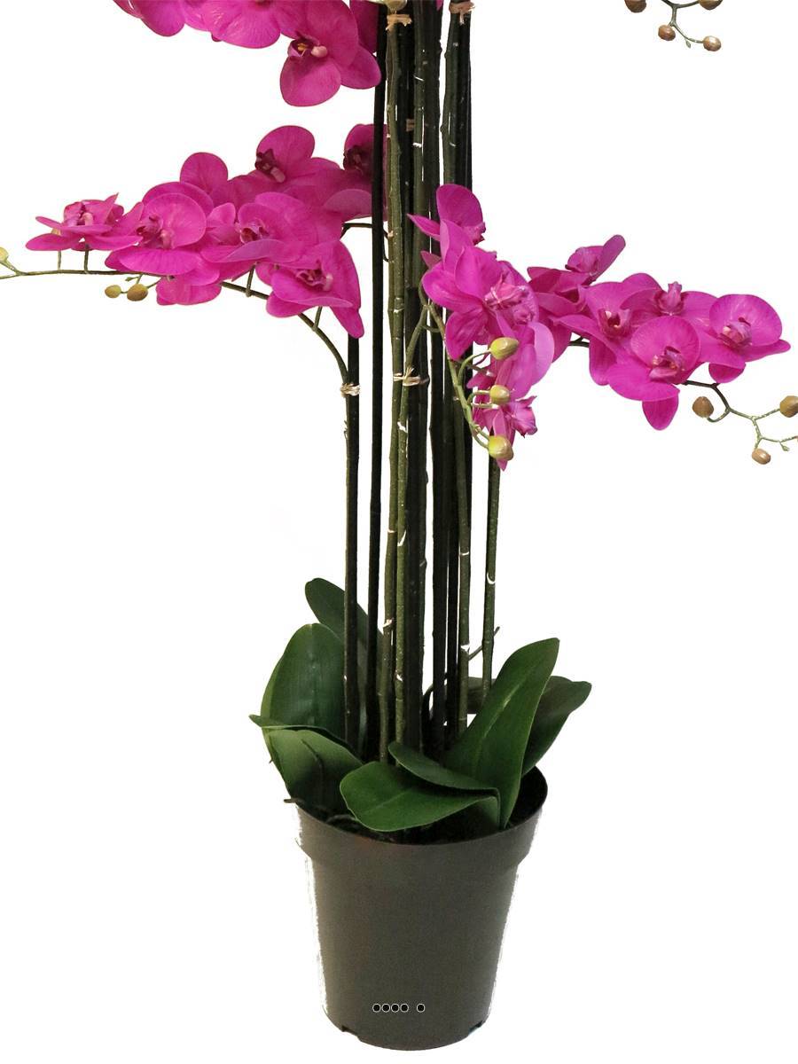 Artificielles - Orchidée Phalaenopsis factice top qualité, pot H140cm Rose fushia-BEST - dimhaut: H 140 cm - couleur: Rose fushia 730 - Imagen 4
