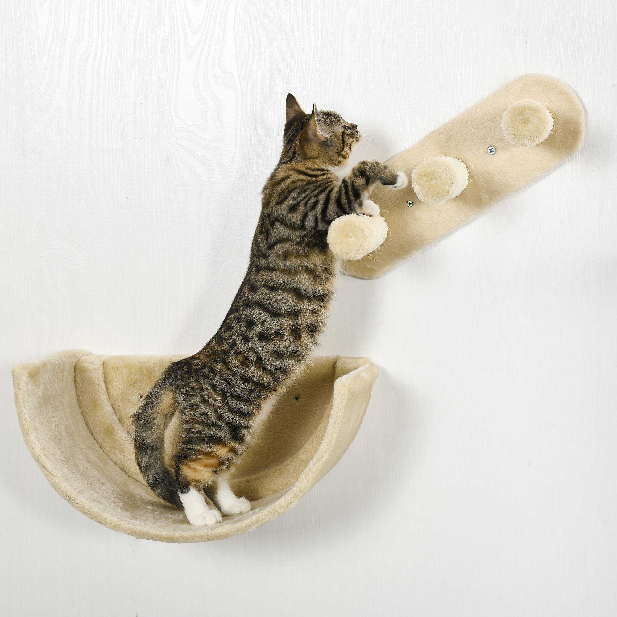 Set mur d'escalade pour chat, 4 pièces, échelle, hamac, plateforme, arbre à chat, beige - Image 10